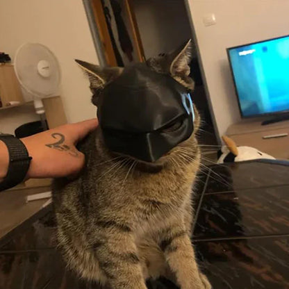 Masque de Chat Héroïque pour des Apparitions Uniques