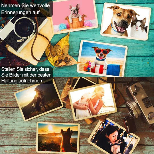 Jouets à Balles Interactives pour Animaux Domestiques