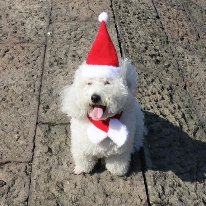 Casquette de Noël avec Écharpe pour Animaux Domestiques