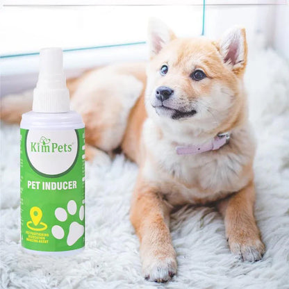 Instructions pour le Placement Ciblé des Toilettes pour Animaux de Compagnie