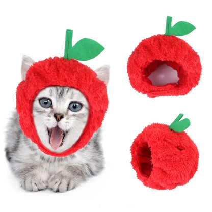 Kit De Toilettage Pour Chats Avec Bigoudis - Matériau Doux Et Facile À Porter