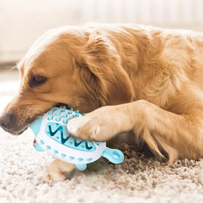Jouets pour Chiens avec Distributeur de Friandises - Jouets Interactifs à Mâcher pour Chiens