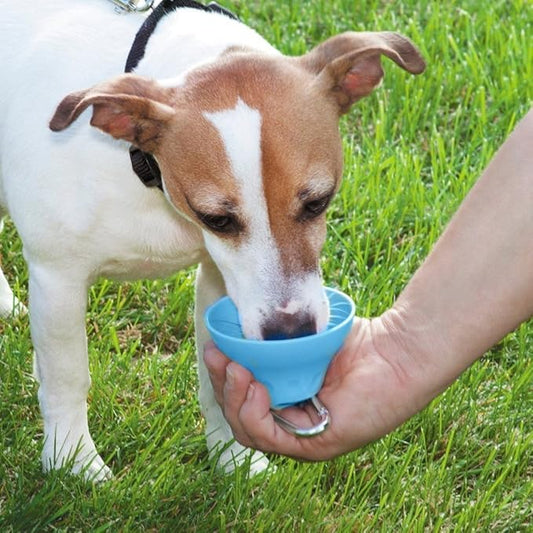 Gourde Portable Pour Animaux Domestiques Avec Écuelle Intégrée Et Mousqueton