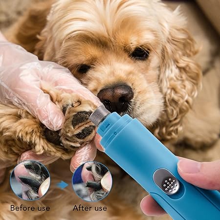 Aiguiseur De Griffes Électrique Pour Animaux De Compagnie Avec Recharge Usb