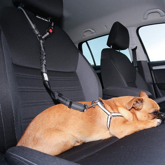 Ceinture De Sécurité Pour Voiture