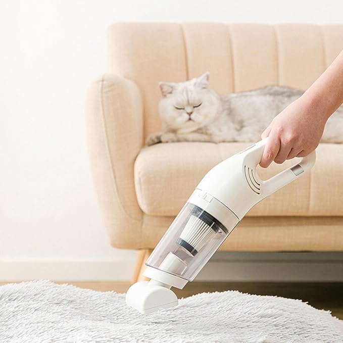 Aspirateur Sans Fil Puissant Pour Poils D'animaux