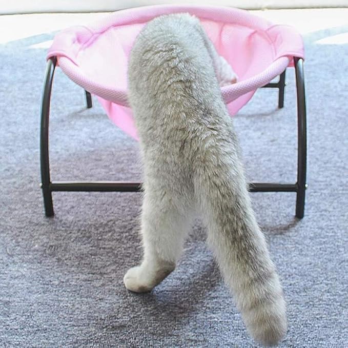 Hamac pour Chats - Lit pour Chats Respirant avec Support Métallique Stable pour des Pauses Confortables