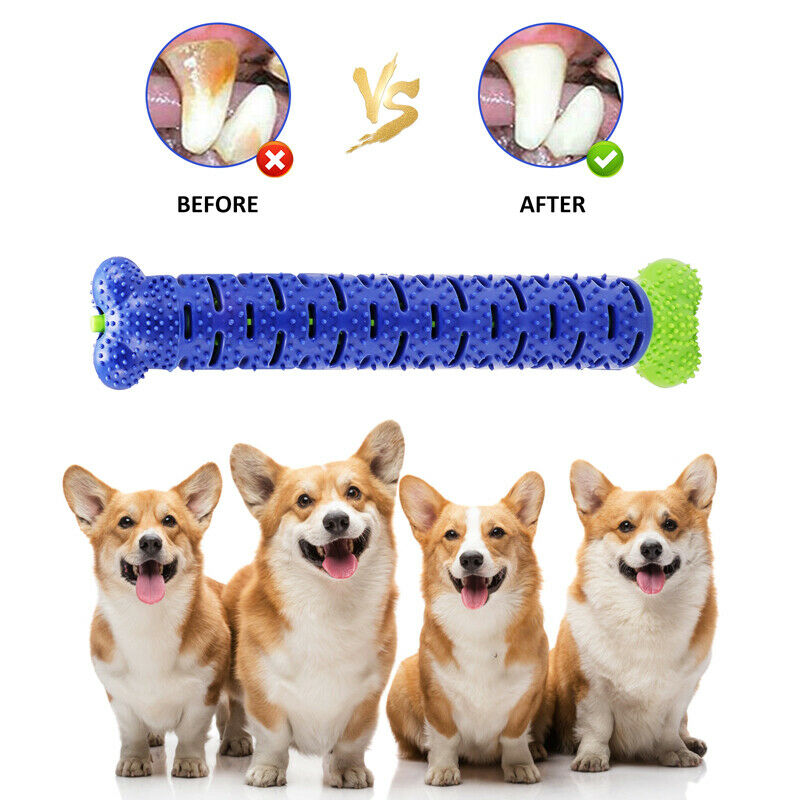 Jouets À Mâcher Pour L' Hygiène Dentaire Des Chiens - Jouets Dentaires En Forme D' Os Pour Le Nettoyage Des Dents
