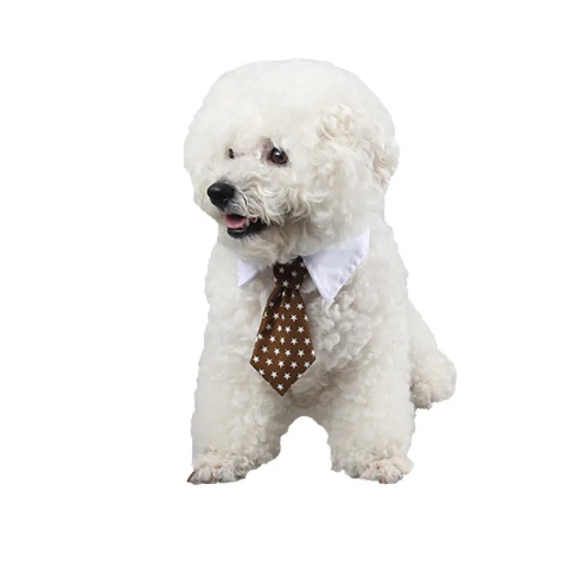 Col Élégant Pour Animaux De Compagnie Avec Cravate Pour Chiens Et Chats
