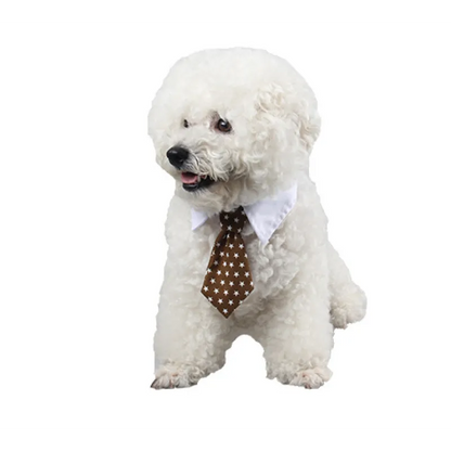 Col Élégant Pour Animaux De Compagnie Avec Cravate Pour Chiens Et Chats