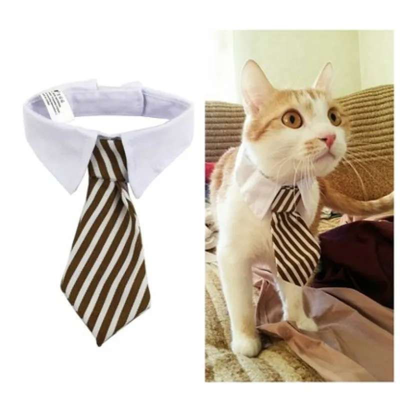 Col Élégant Pour Animaux De Compagnie Avec Cravate Pour Chiens Et Chats