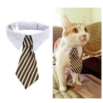 Col Élégant Pour Animaux De Compagnie Avec Cravate Pour Chiens Et Chats