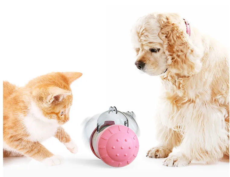 Jouet à Friandises Interactif pour Chiens et Chats - Jouet à Mâcher avec Distributeur de Nourriture