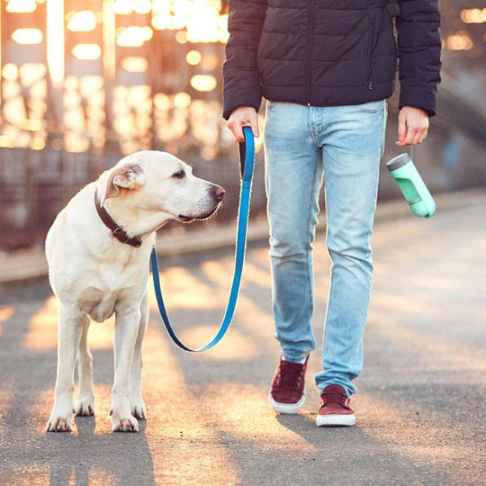 Distributeur D' Eau Mobile pour Animaux de Compagnie
