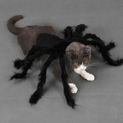 Costume D' Araignée Effrayant pour Animaux Domestiques