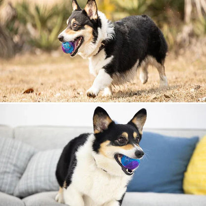Balle à Mâcher de Longue Durée pour Chiens