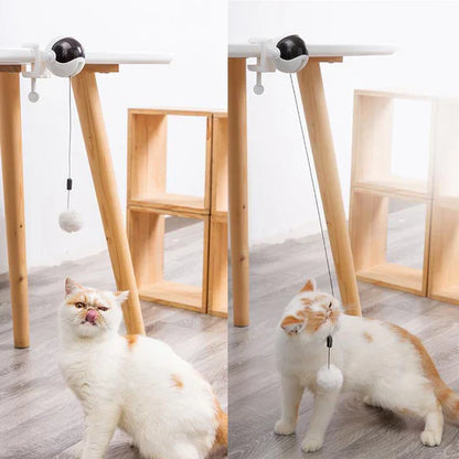 Jouet Automatique pour Chats