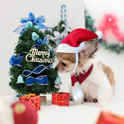 Casquette de Noël avec Écharpe pour Animaux Domestiques