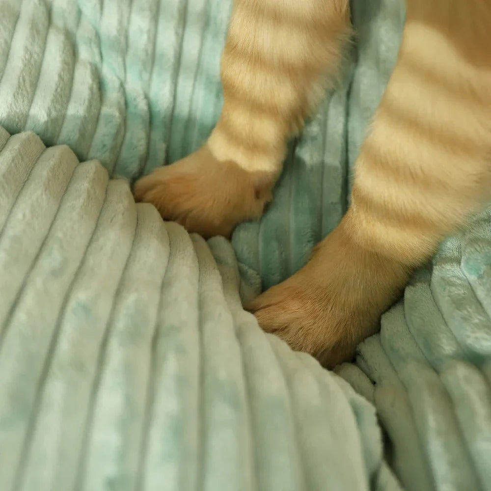 Coussin Ergonomique Pour Chien Avec Housse Amovible