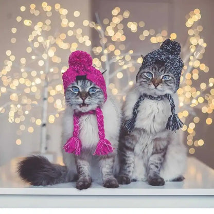Casquette En Tricot Pour Animaux Domestiques Avec Pompon Et Pompons Torsadés En Rose