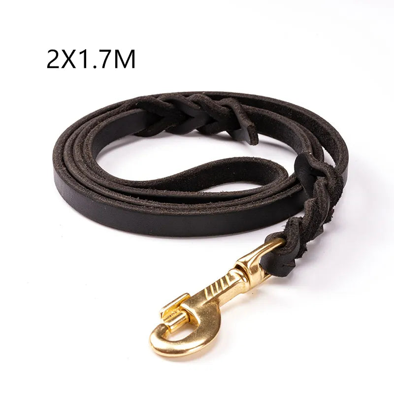 Laisse En Cuir Pour Chien Avec Mousqueton Doré - Accessoire Pour Chien Robuste Et Élégant