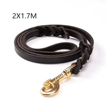 Laisse En Cuir Pour Chien Avec Mousqueton Doré - Accessoire Pour Chien Robuste Et Élégant