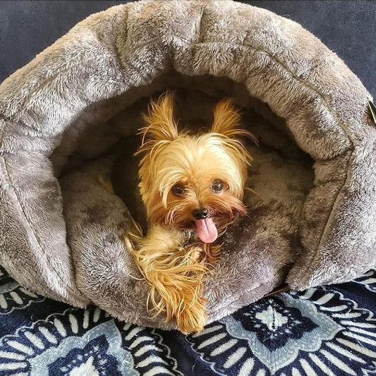 Lit Grotte Confortable Pour Chiens Pour La Détente