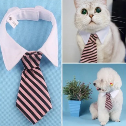 Col Élégant Pour Animaux De Compagnie Avec Cravate Pour Chiens Et Chats