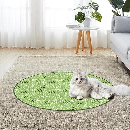 Jeu De Cache-cache Pour Chats