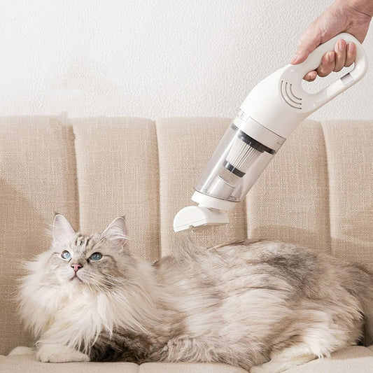 Aspirateur Sans Fil Puissant Pour Poils D'animaux