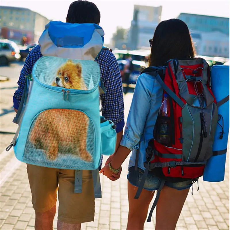 Sac à Dos de Transport pour Animaux Domestiques avec Design en Filet - Sac de Transport Confortable pour Chats et Petits Chiens
