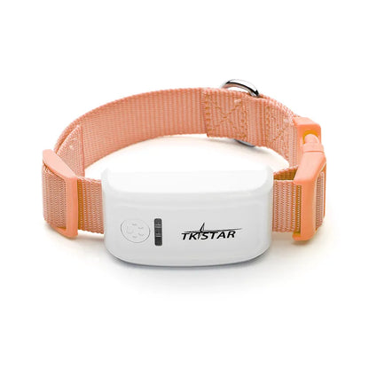 Collier De Chien Avec Télécommande - Mode Vibration Et Choc Rechargeable