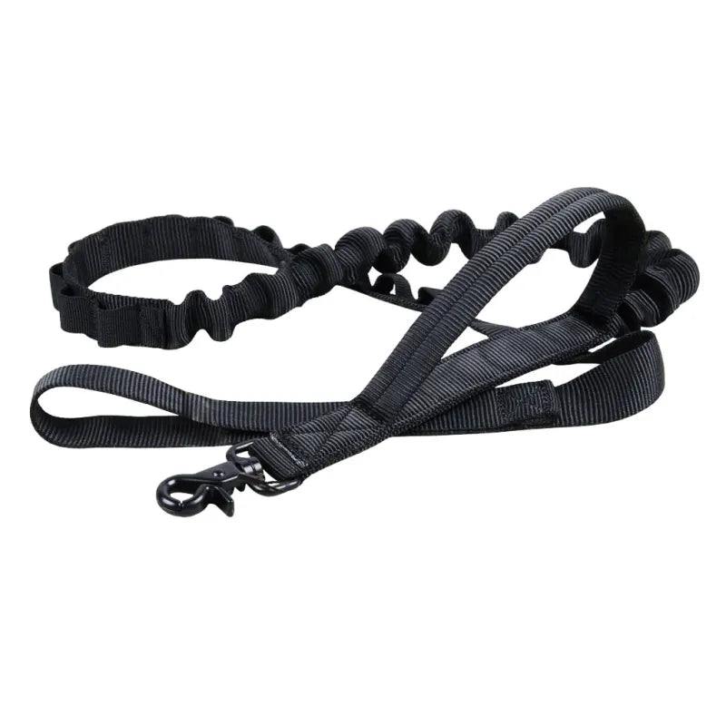 Collier De Chien Réglable En Nylon Avec Fermeture Robuste Par Clic