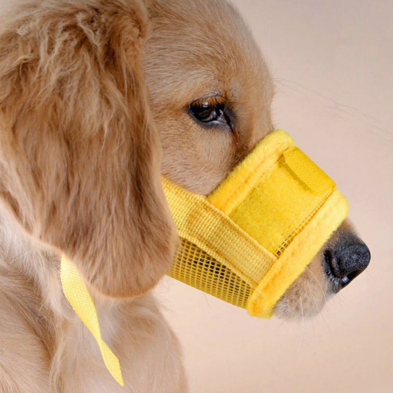 Muselière en Filet pour Chiens - Confortable et Respirante pour les Chiens