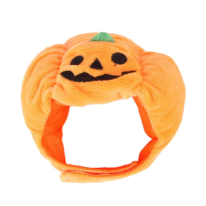 Costume Citrouille D'halloween Pour Chiens