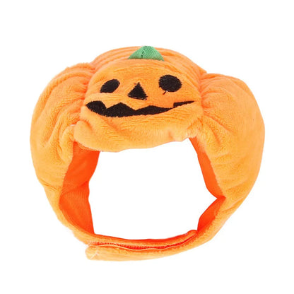 Costume Citrouille D'halloween Pour Chiens