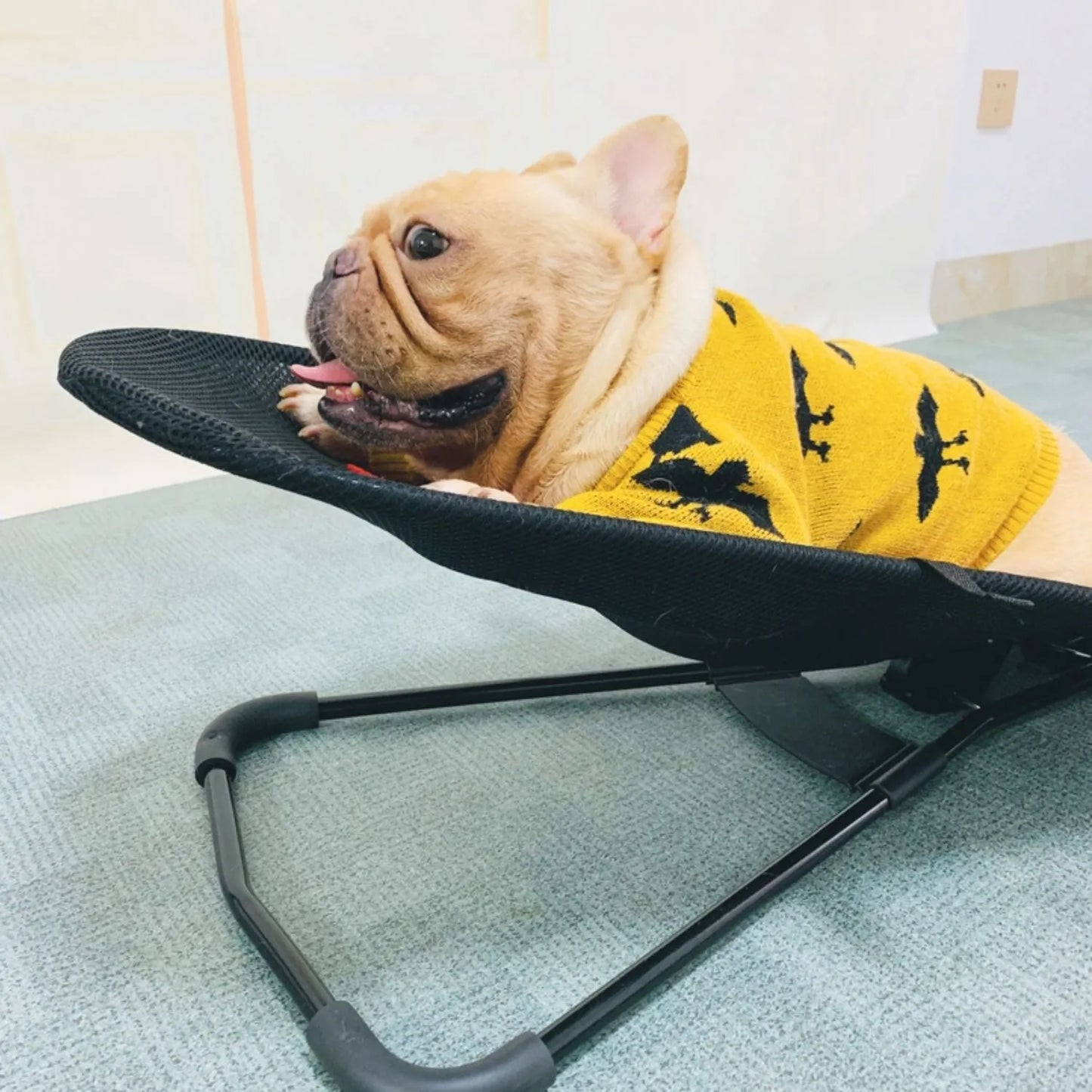 Fauteuil Confortable Pour Chiens Et Chats – Antidérapant Et Relaxant