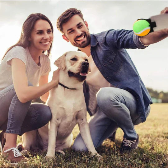 Jouets à Balles Interactives pour Animaux Domestiques