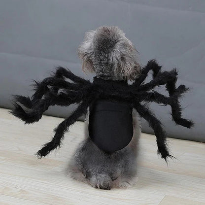 Costume D' Araignée Effrayant pour Animaux Domestiques