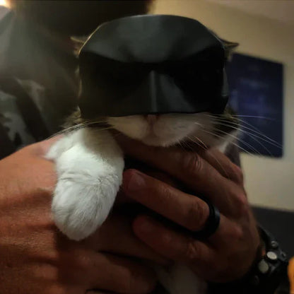 Masque de Chat Héroïque pour des Apparitions Uniques
