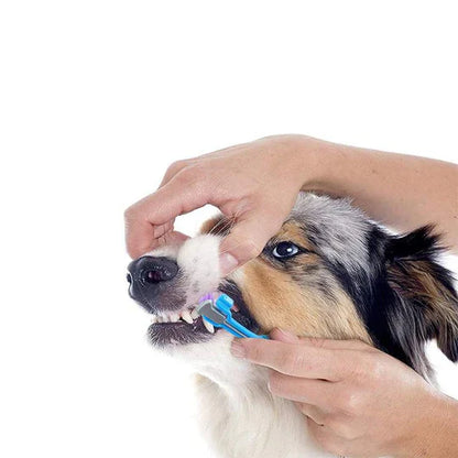 Brosse à Dents pour Chiens à 3 Têtes - Nettoyage Efficace pour des Dents Saines