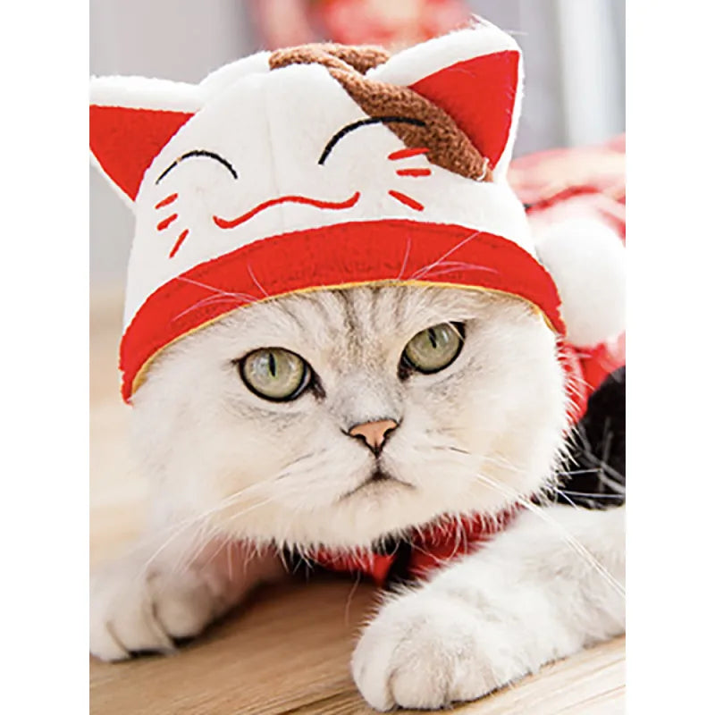 Kit De Toilettage Pour Chats Avec Bigoudis - Matériau Doux Et Facile À Porter