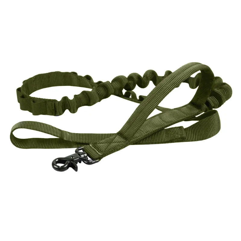 Collier De Chien Réglable En Nylon Avec Fermeture Robuste Par Clic