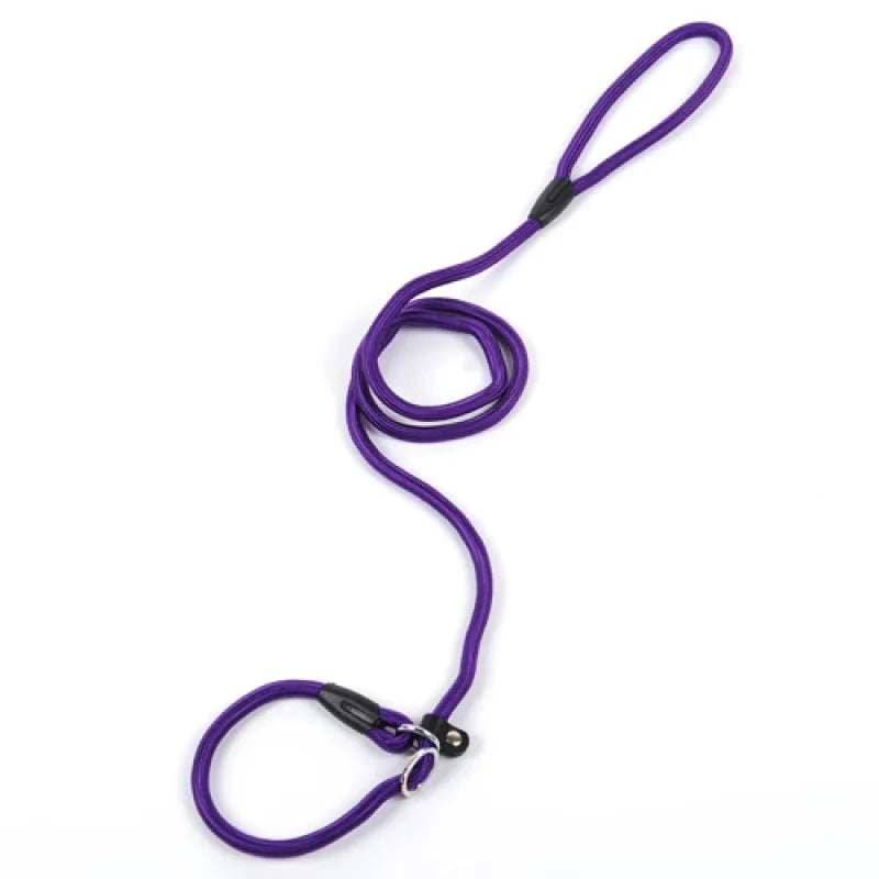 Laisse De Chien En Corde Résistante Avec Mousqueton Pour Une Promenade En Toute Sécurité