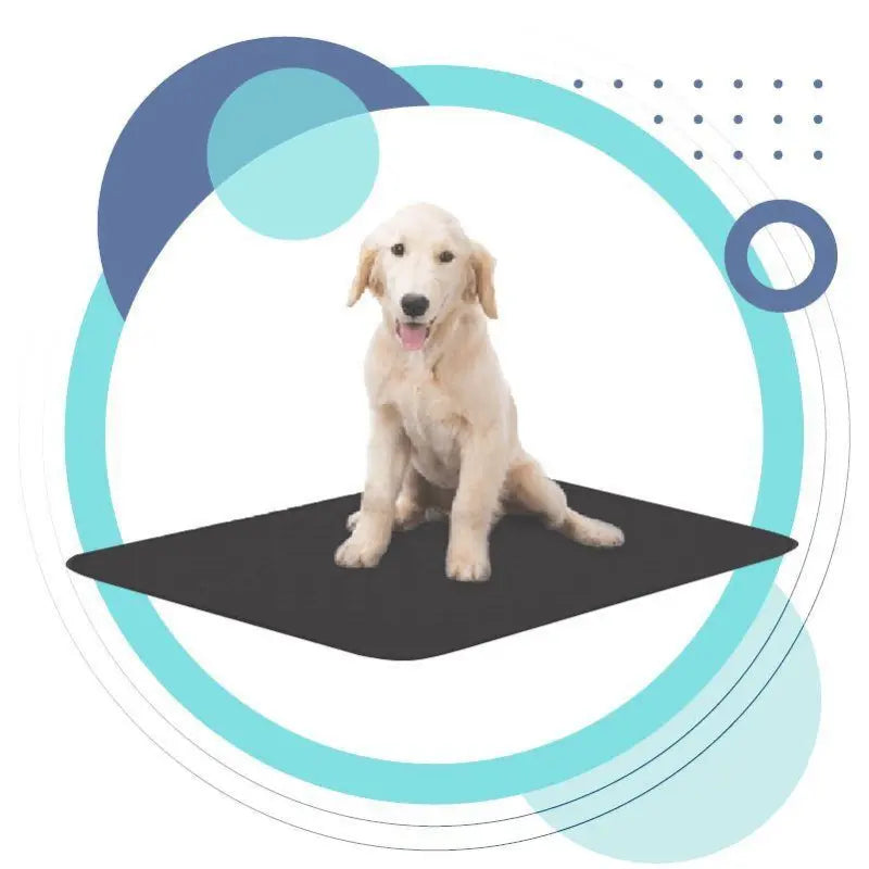Matelas Rafraîchissant Respirant Pour Chiens Et Chats Avec Dessous Antidérapant