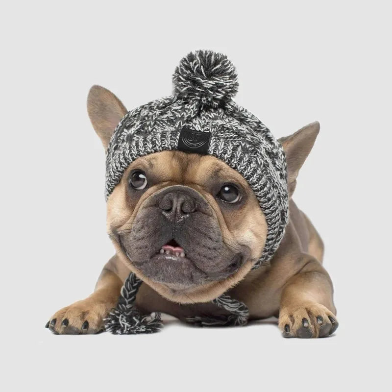 Casquette Stylée Pour Chiens Avec Pompon - Bonnet D' Hiver Chaud Pour Petits Chiens