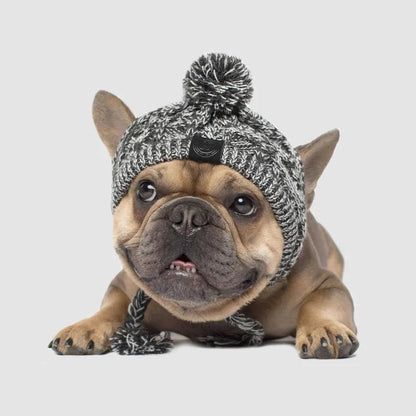 Casquette Stylée Pour Chiens Avec Pompon - Bonnet D' Hiver Chaud Pour Petits Chiens