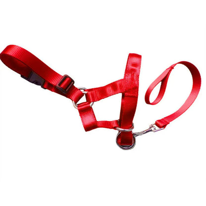 Harnais Réglable Avec Laisse Pour Chiens De Taille Petite Et Moyenne