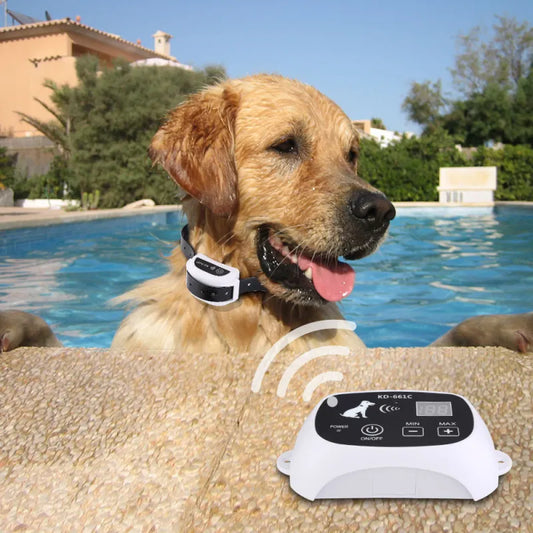 Système De Dressage De Clôtures Pour Chiens Sans Fil Rechargeable Ip67 Étanche