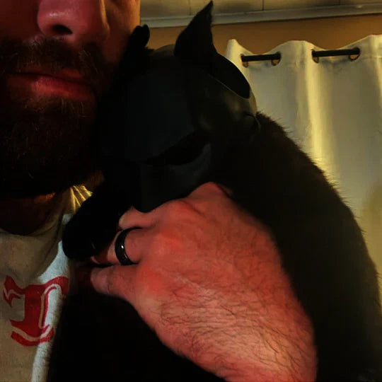 Masque de Chat Héroïque pour des Apparitions Uniques